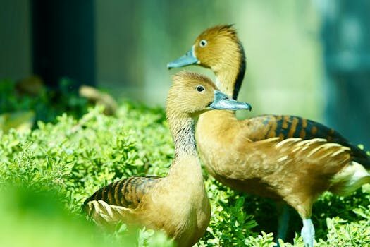 autenticacion de dos factores 2fa 2