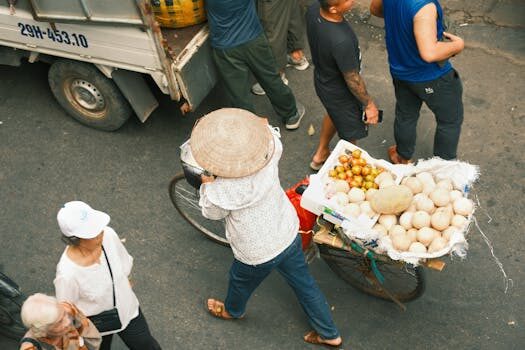 Criptan Trade S.L: información y datos relevantes 5 criptan trade sl 1