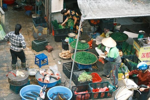 Criptan Trade S.L: información y datos relevantes 7 criptan trade sl 3