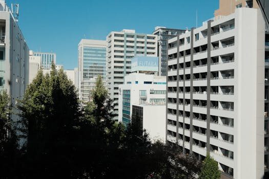 dpd o dpo el delegado de la privacidad 4