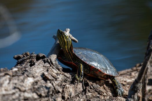 necesitas mas informacion utiliza tu registro de log 4