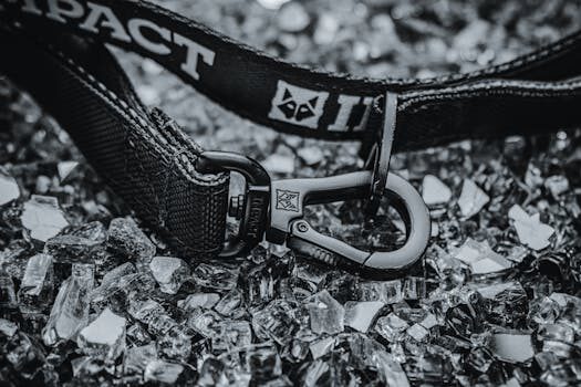 que son y para que sirven los siem ids e ips 3