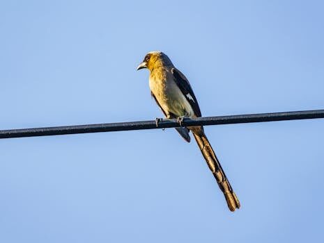 Schneider Electric | INCIBE-CERT: gestión de ciberseguridad 5 schneider electric incibe cert 1