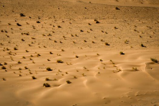 Sistemas EDR: qué son y cómo ayudan a proteger la seguridad de tu empresa 7 sistemas edr que son y como ayudan a proteger la seguridad de tu empresa 2