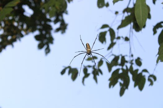 Threads de Instagram: qué es, uso y configuraciones 4 threads de instagram que es uso y configuraciones 1