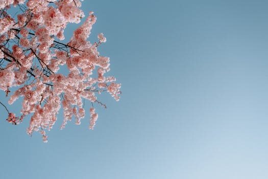 Vulnerabilidad de Cross-Site Scripting en Teixo de Teimas Global: qué necesitas saber 5 vulnerabilidad de cross site scripting en teixo de teimas global 1